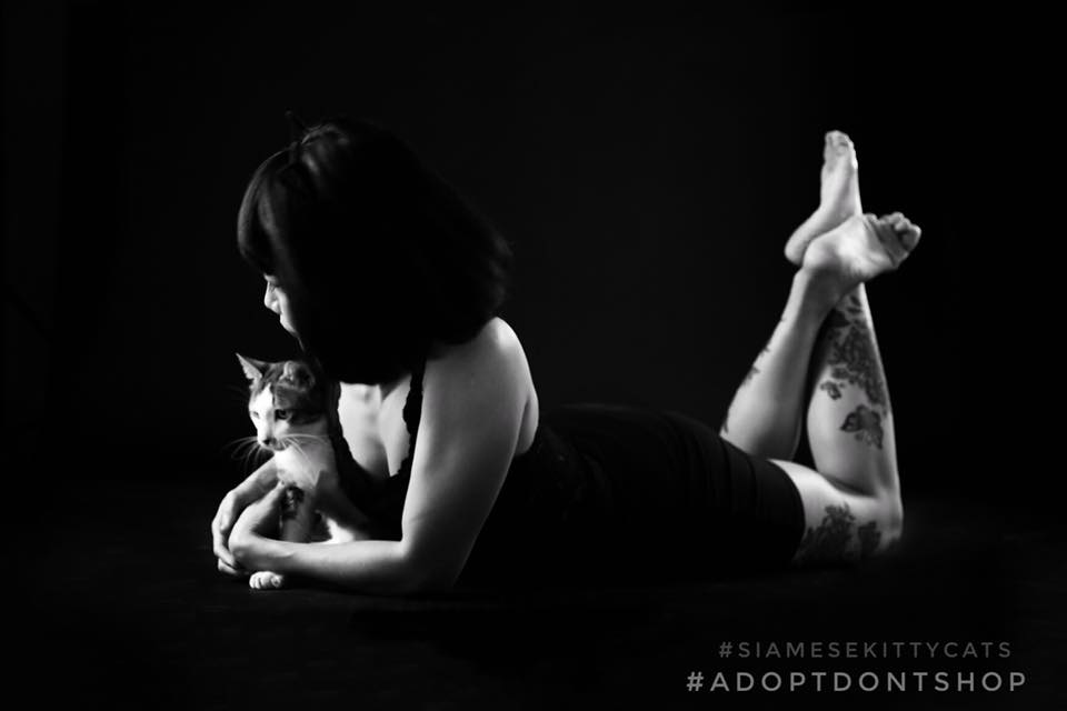 Sexy Kittens Partner With Babes For Charity Calendar Out Saturday