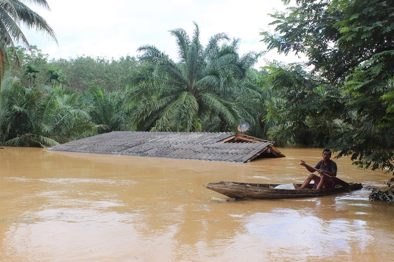 19 Die as Floods Continue to Submerge South