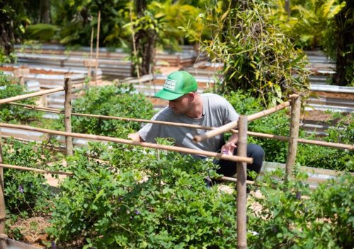 “We Try to Survive,” Phuket Restaurant 1st to Win ‘Green’ Michelin Star