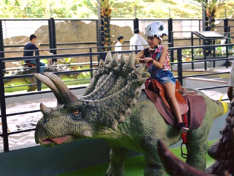 jurassic triceratops ride on