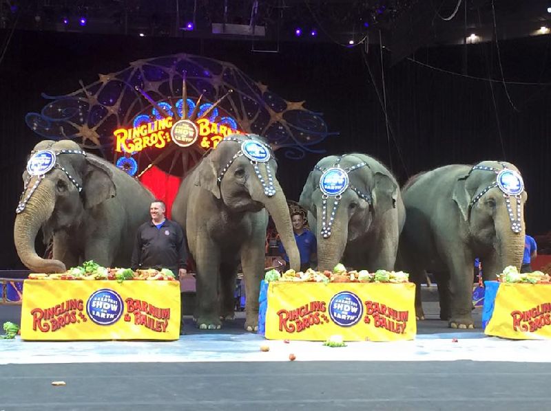 Final Elephant Show at Historic Ringling Bros. Circus